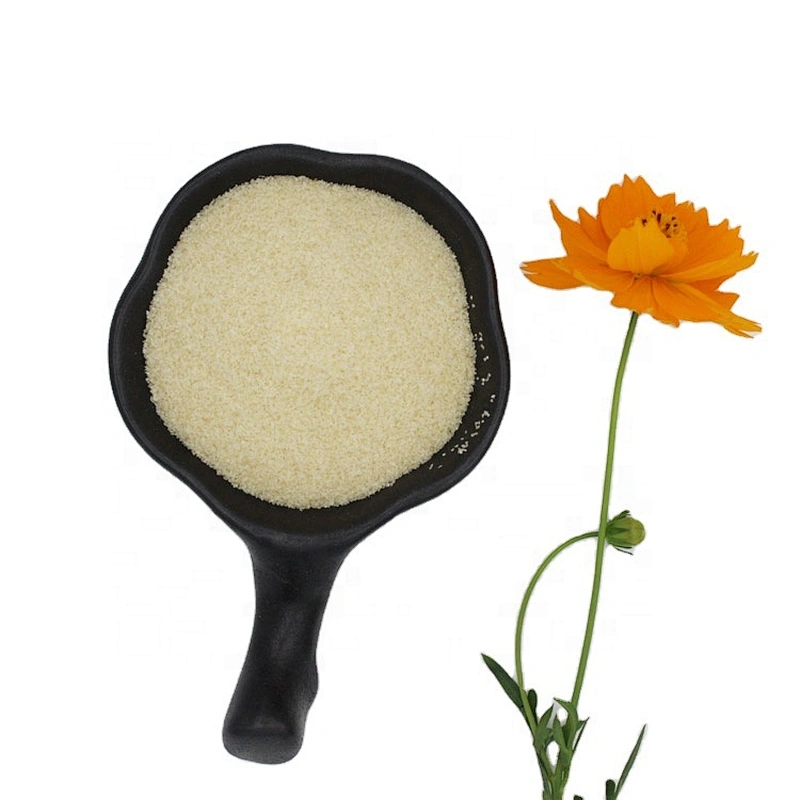 Different Blooms food grade gelatin 8-60 Mesh of Edible Gelatin powder